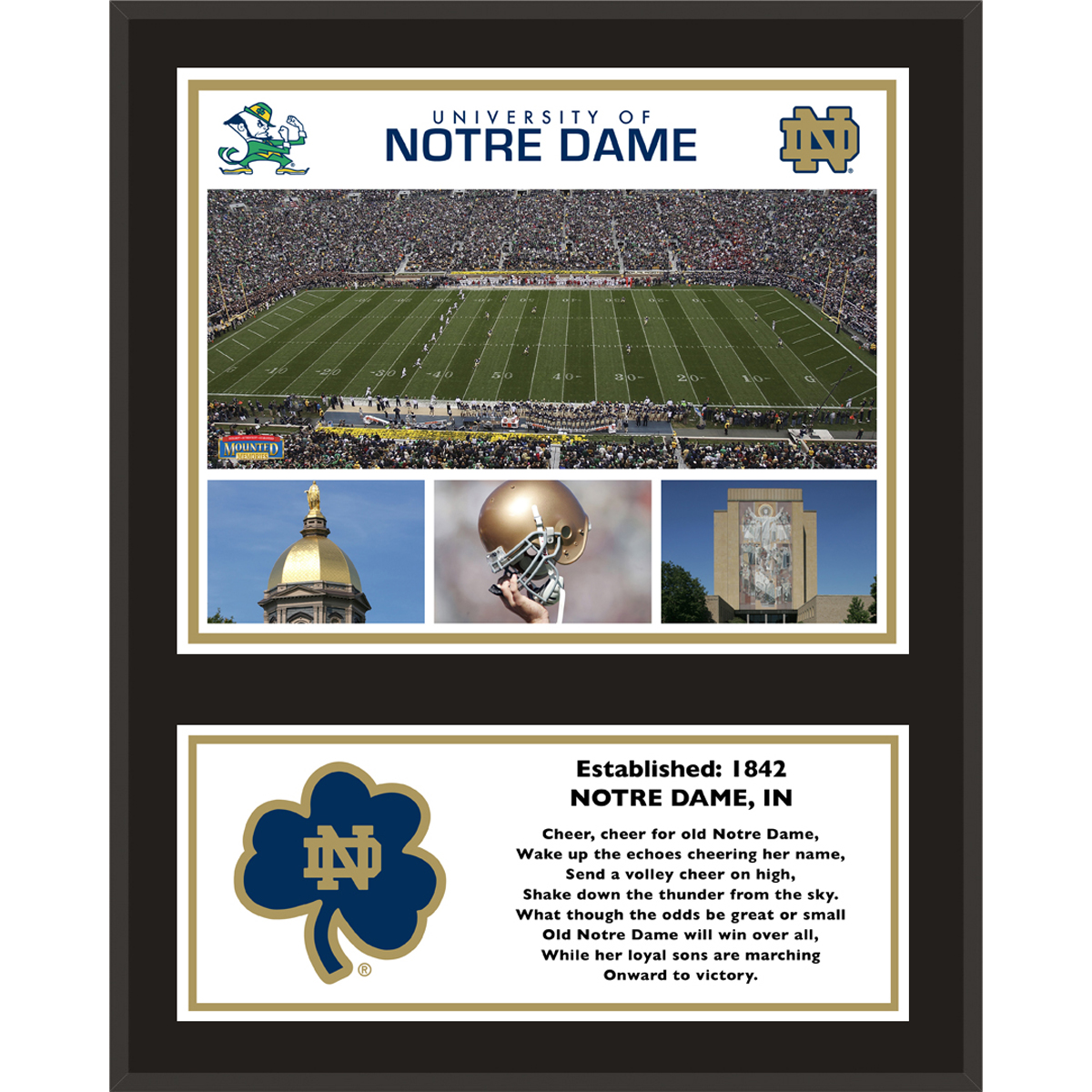 Notre Dame Fighting Irish 12'' x 15'' Sublimated Team Plaque
