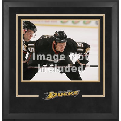 Anaheim Ducks Deluxe 16" x 20" Horizontal Photograph Frame
