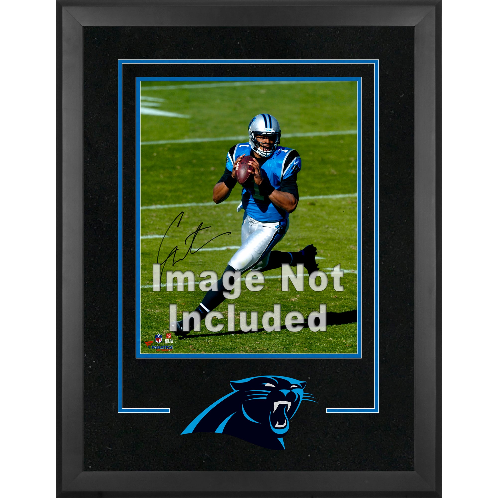Carolina Panthers Deluxe 16'' x 20'' Vertical Photograph Frame with Team Logo
