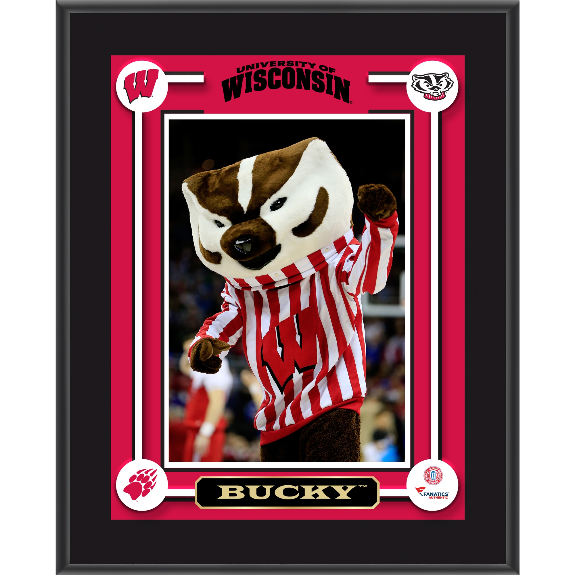 Wisconsin Badgers Bucky 10.5'' x 13'' Sublimated Mascot Plaque