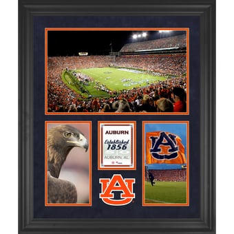 Auburn Tigers Jordan-Hare Stadium Framed 20'' x 24'' 3-Opening Collage