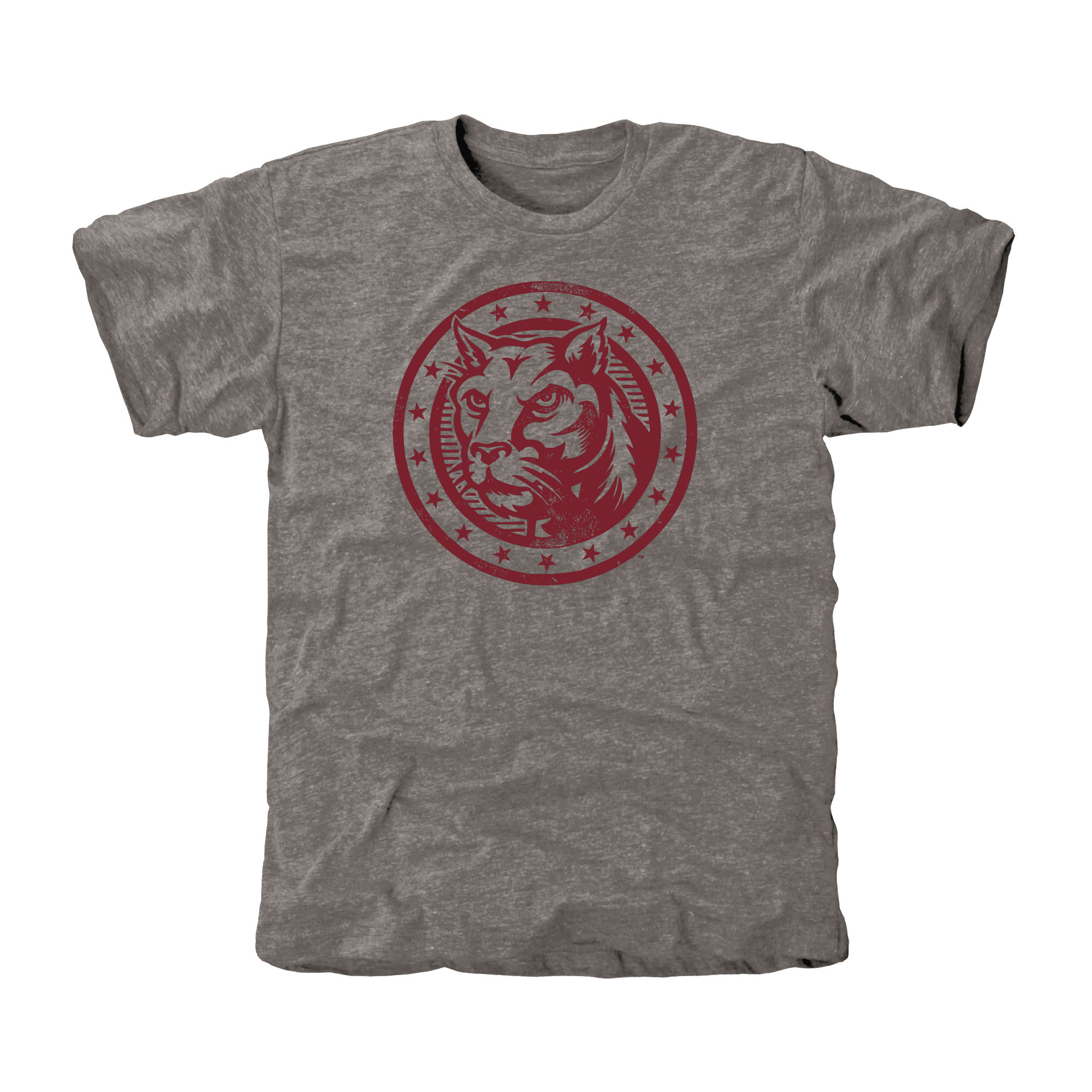 Men's Gray Charleston Cougars Auxiliary Logo Tri-Blend T-Shirt