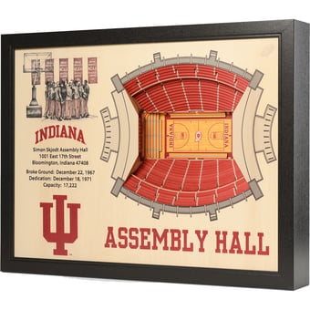 Fanpoint Indiana Hoosiers 25.5" x 19.5" Assembly Hall Stadium Views Wall Art
