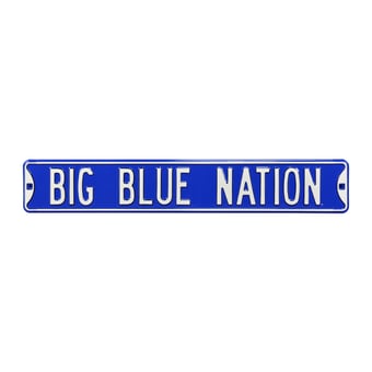 Blue Kentucky Wildcats 6" x 36" College Ave Embossed Street Sign