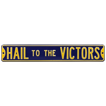 Navy Michigan Wolverines 6" x 36" College Ave Street Sign