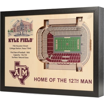 Fanpoint Texas A&M Aggies 25.5" x 19.5" Kyle Field Stadium Views Wall Art