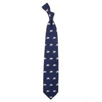 Georgia Southern Eagles Prep Tie