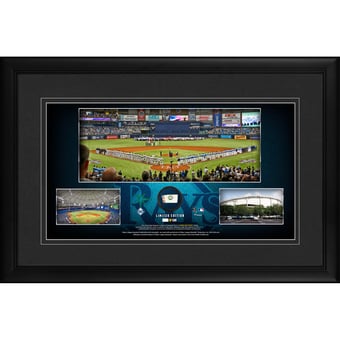 Tampa Bay Rays Framed 10" x 18" Stadium Panoramic Collage with a Piece of Game-Used Baseball - Limited Edition of 500