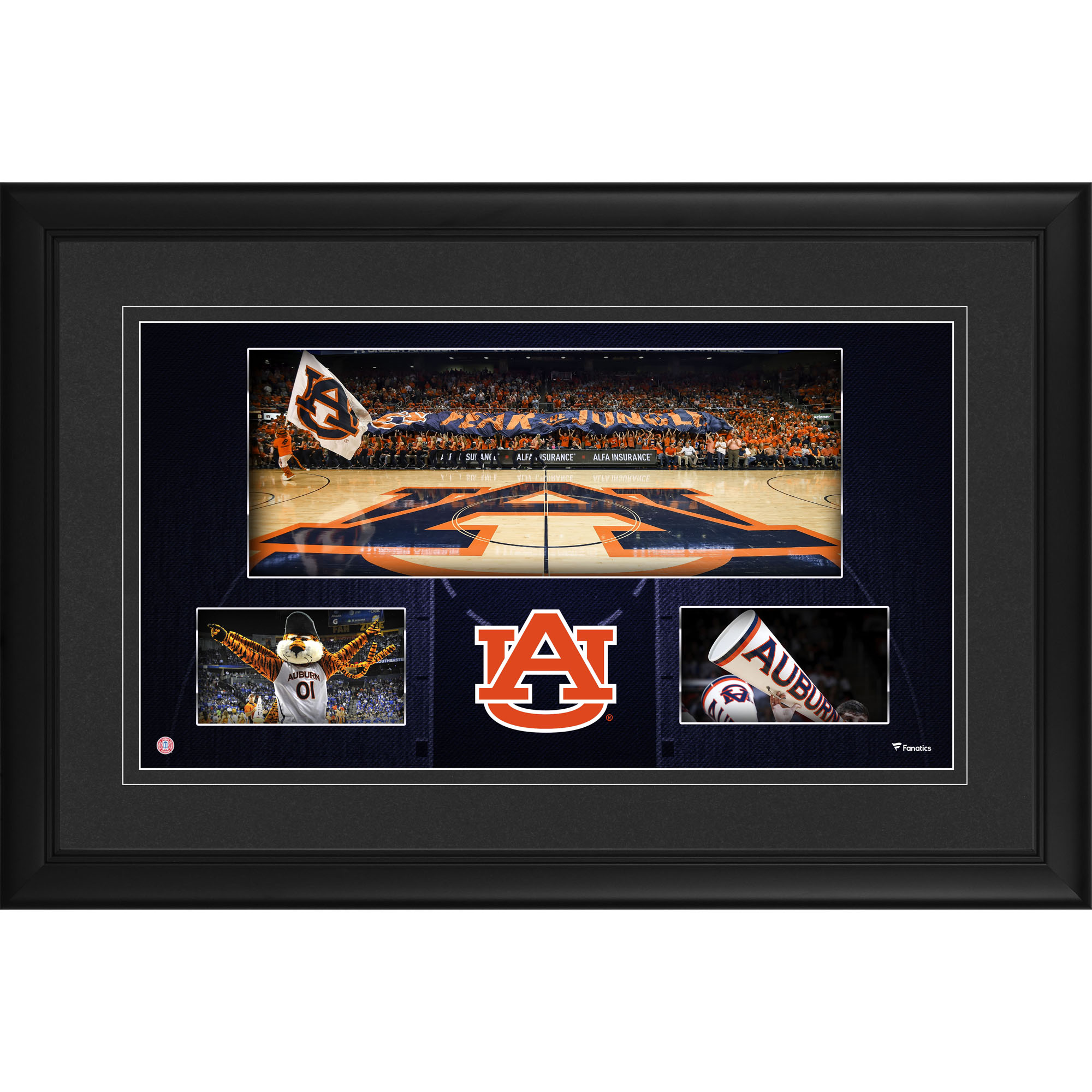 Auburn Tigers Framed 10'' x 18'' Auburn Arena Panoramic Collage