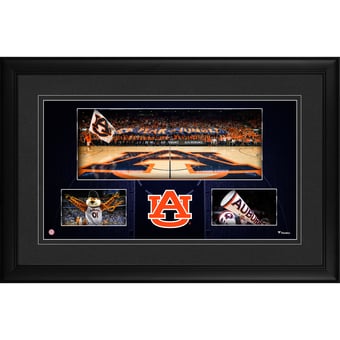 Auburn Tigers Framed 10'' x 18'' Auburn Arena Panoramic Collage