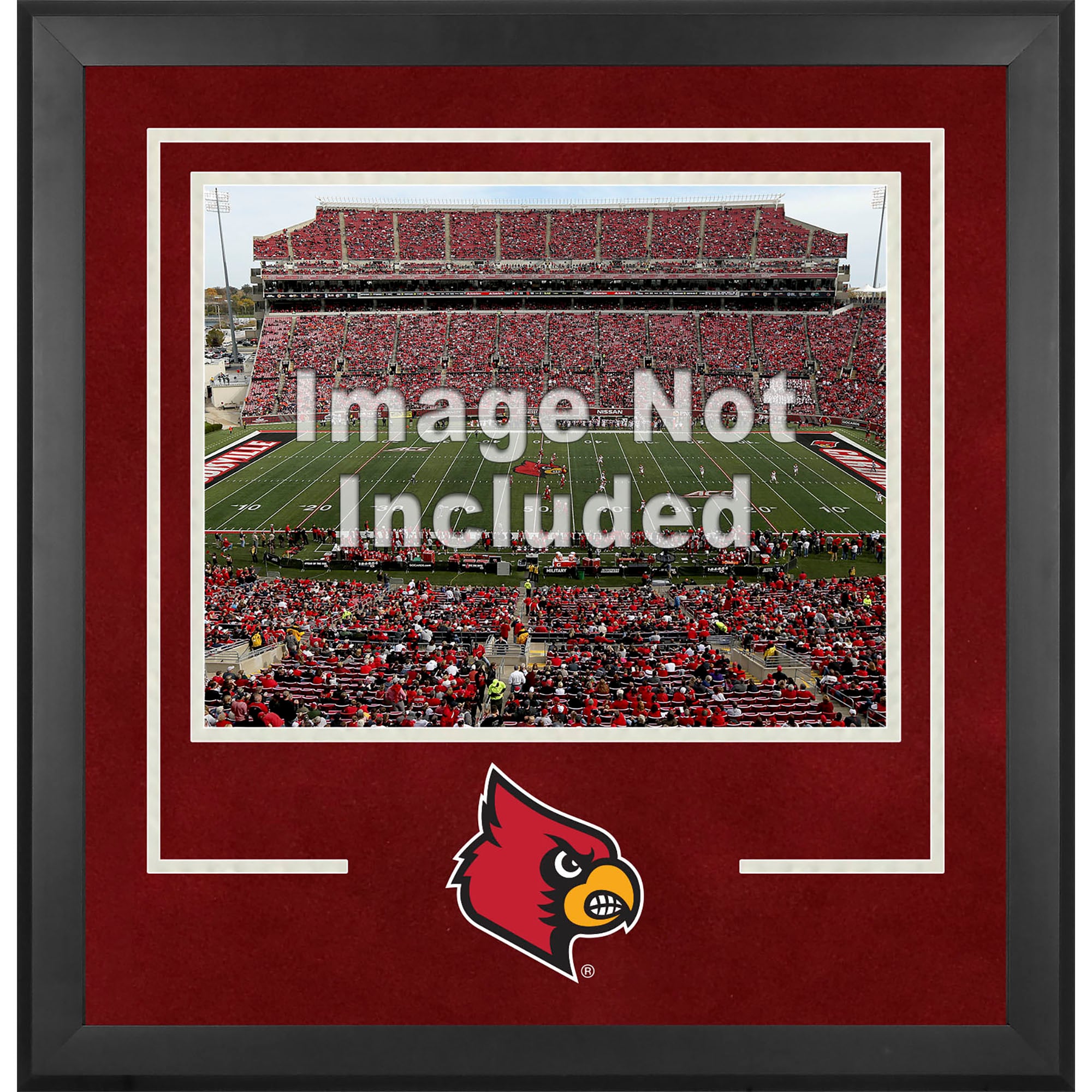 Louisville Cardinals Deluxe 16'' x 20'' Horizontal Photograph Frame with Team Logo