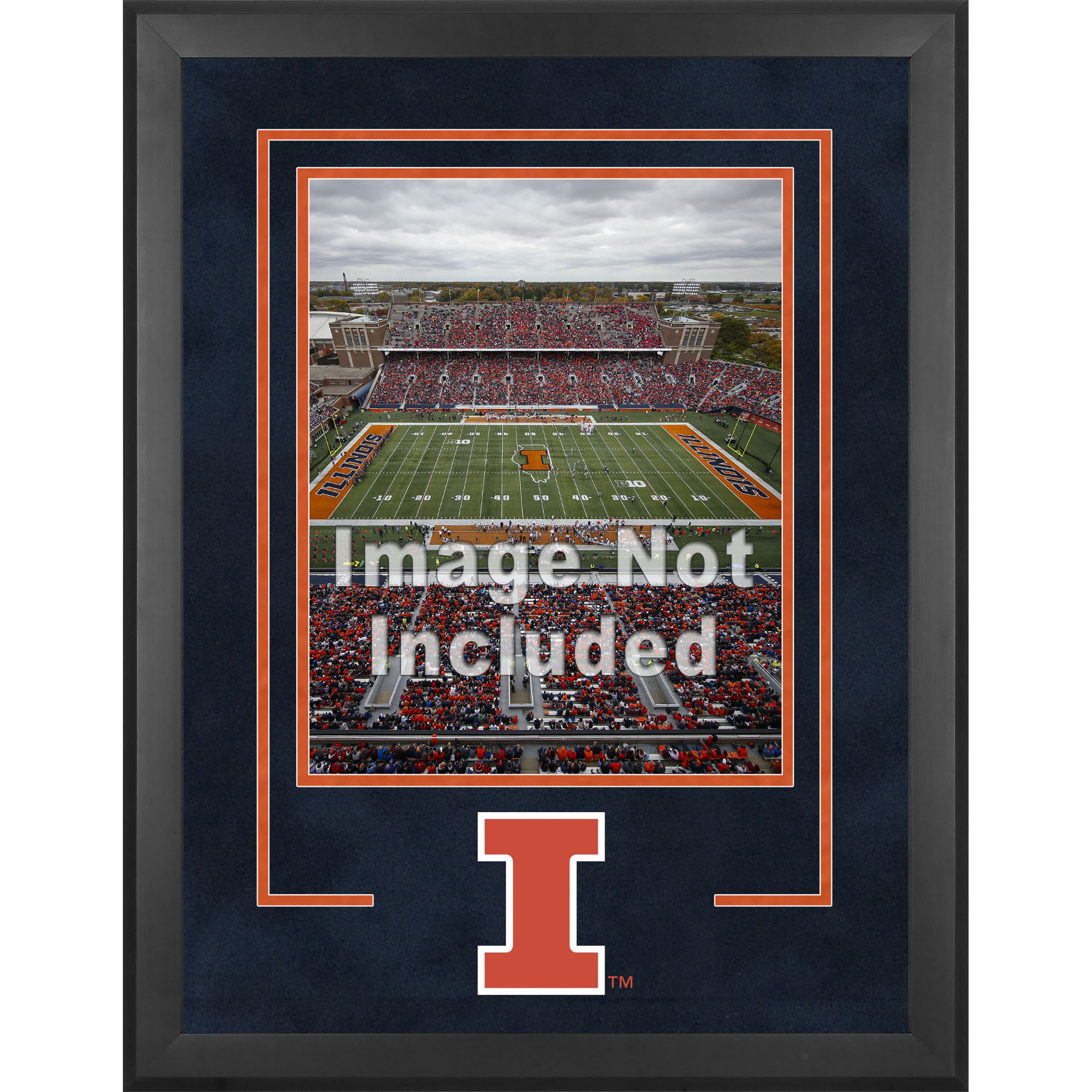 Illinois Illini Deluxe 16'' x 20'' Vertical Photograph Frame with Team Logo