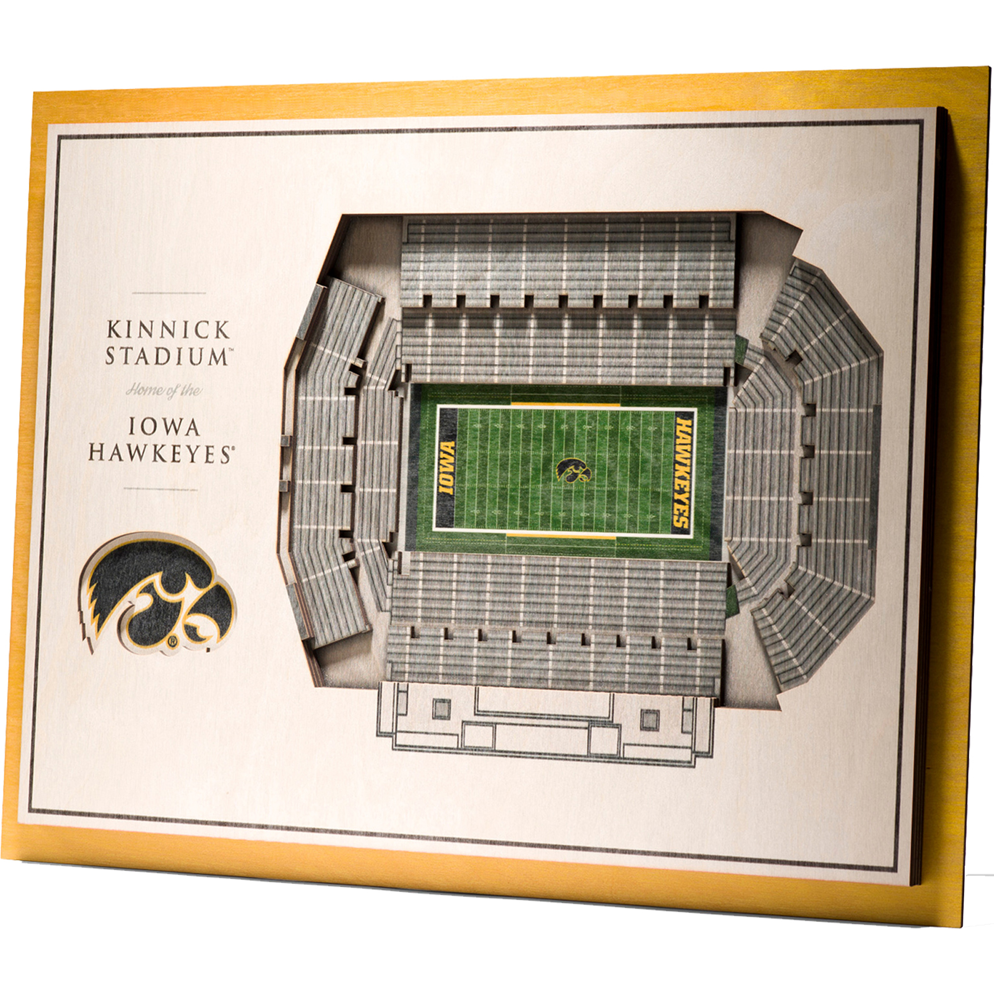 IDNA Iowa Hawkeyes 17'' x 13'' 5-Layer StadiumViews 3D Wall Art