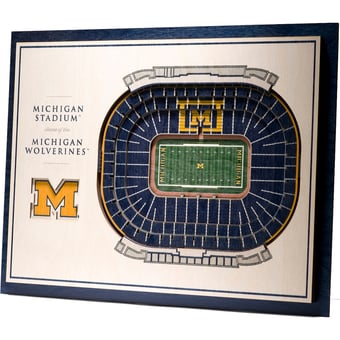 IDNA Michigan Wolverines 17'' x 13'' 5-Layer StadiumViews 3D Wall Art