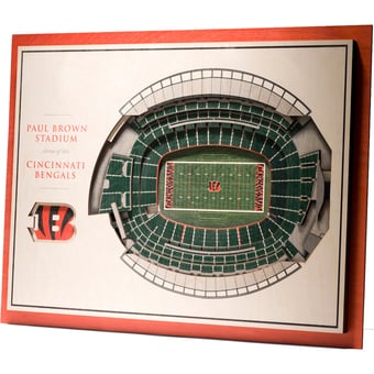 IDNA Cincinnati Bengals 17'' x 13'' 5-Layer StadiumViews 3D Wall Art