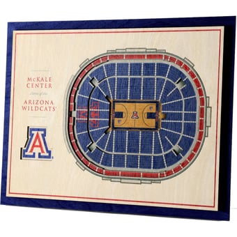 Fanpoint Arizona Wildcats 17'' x 13'' 5-Layer StadiumView 3D Wall Art