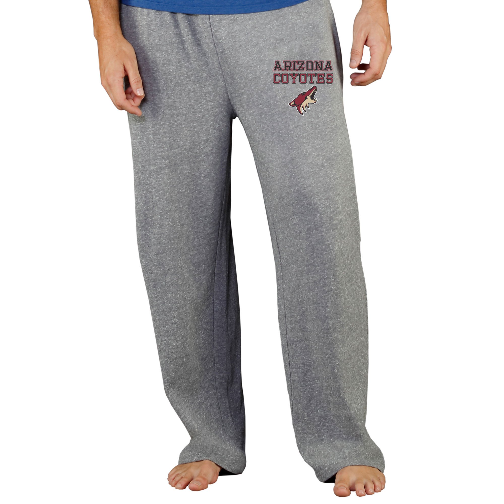 Men's Concepts Sport Gray Arizona Coyotes Mainstream Terry Pants