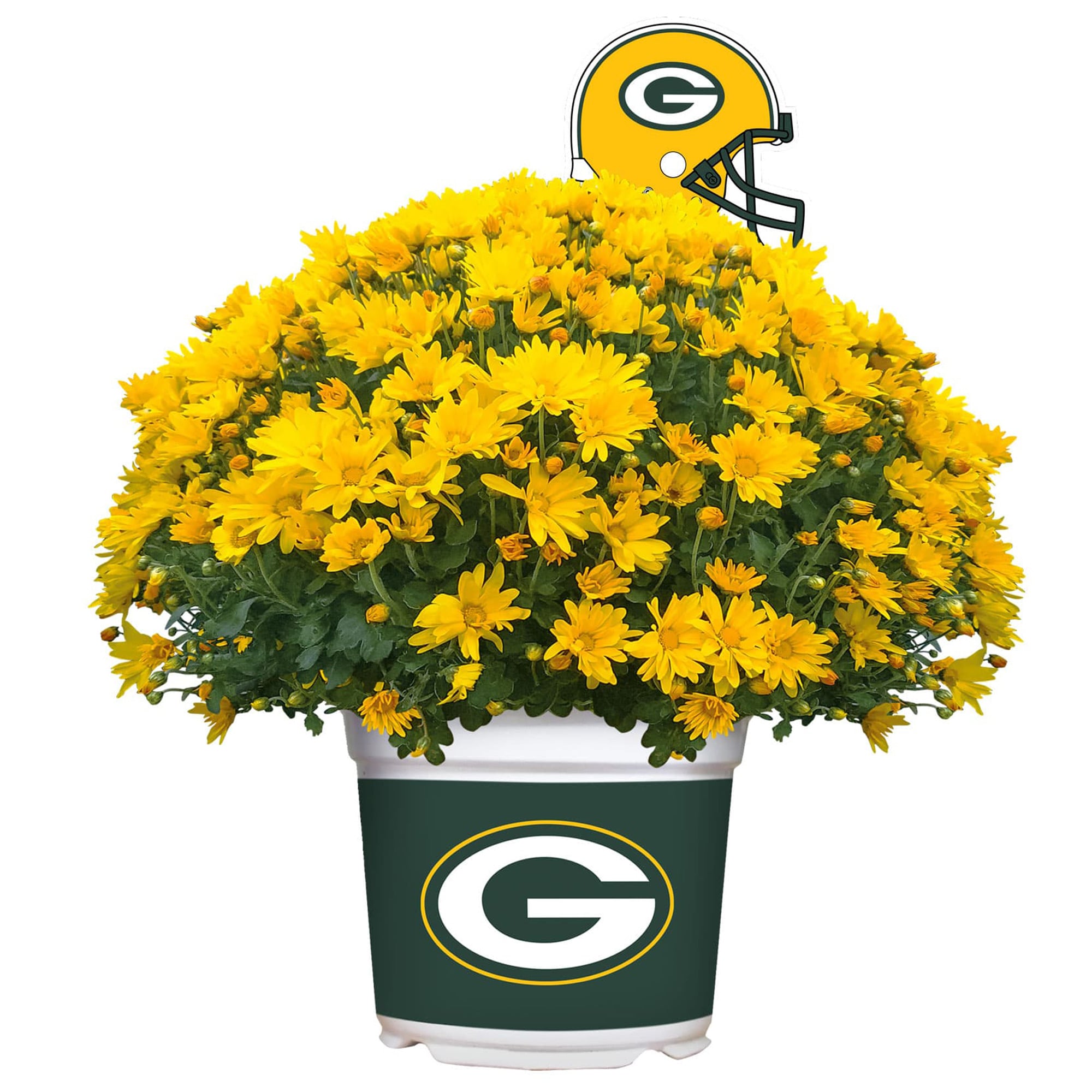 Green Bay Packers Team Color Mum