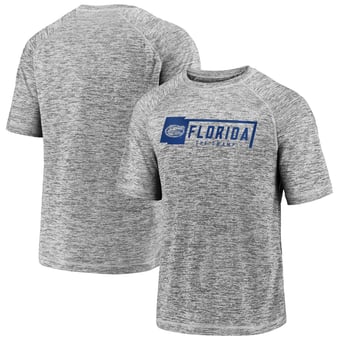Men's Fanatics Gray Florida Gators Disrupt Jocktag Striated Raglan T-Shirt