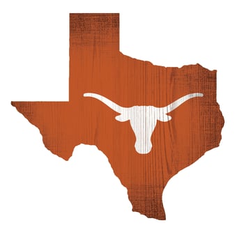 Texas Longhorns 12" Logo State Sign