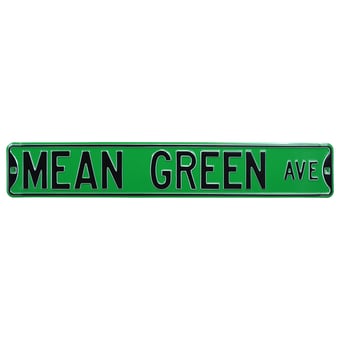 North Texas Mean Green 6'' x 36'' Steel Street Sign
