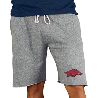 Men's Concepts Sport Gray Arkansas Razorbacks Mainstream Terry Shorts