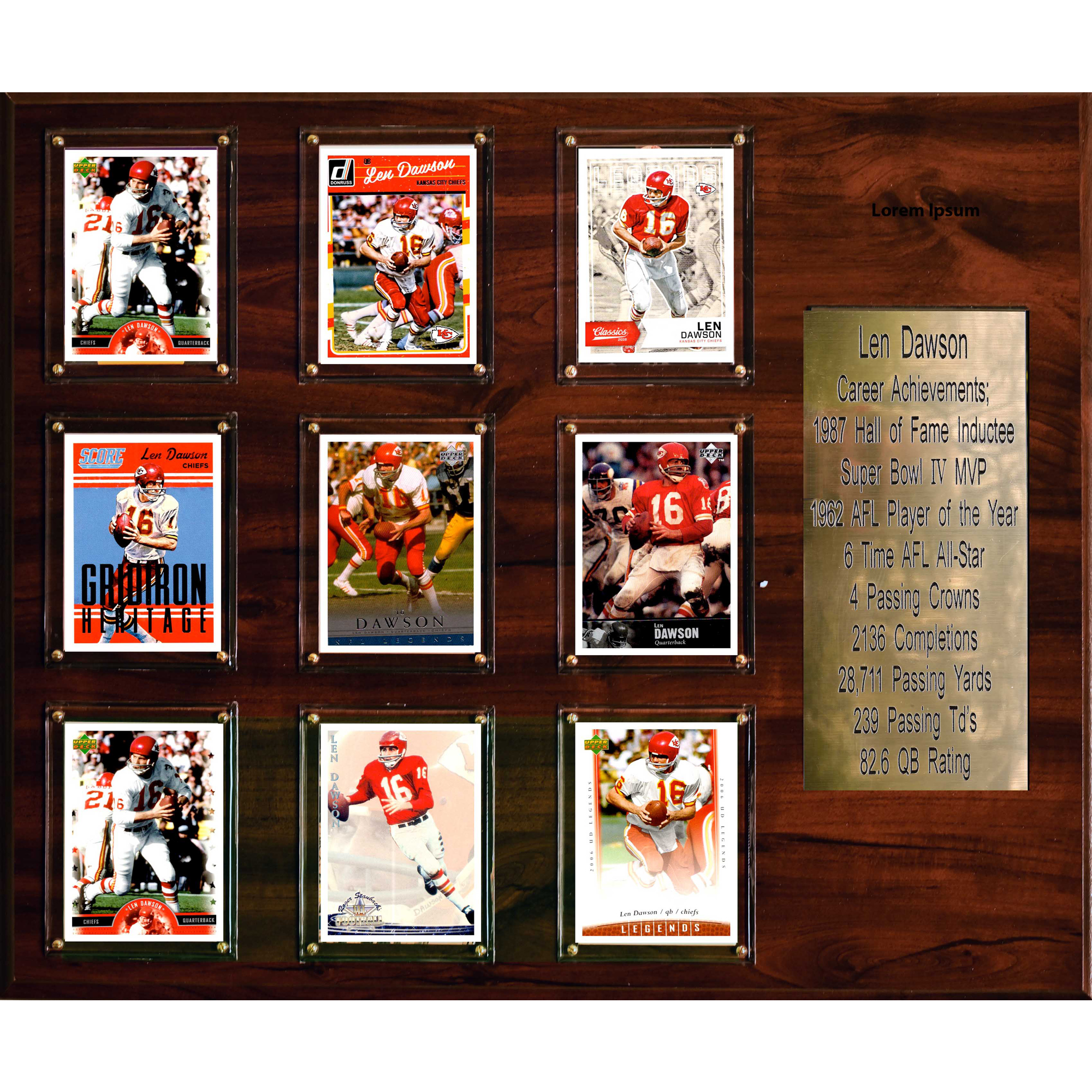 Len Dawson Kansas City Chiefs 15'' x 18'' Plaque