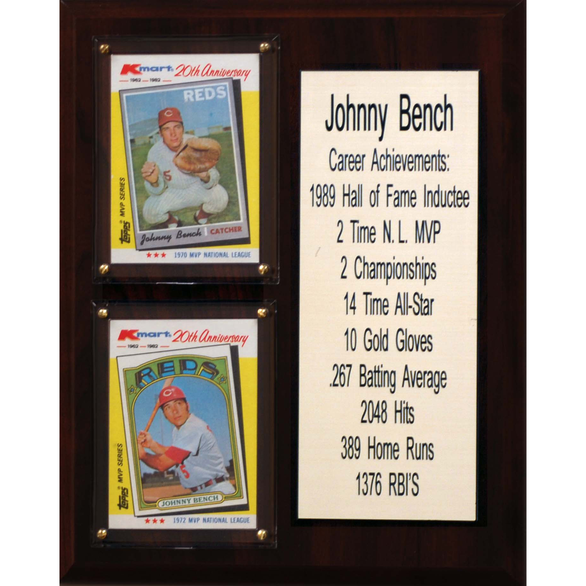 Johnny Bench Cincinnati Reds 8'' x 10'' Plaque