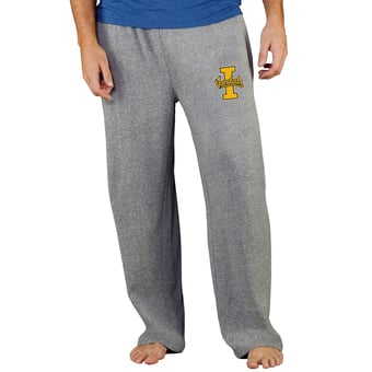 Men's Concepts Sport Gray Idaho Vandals Mainstream Terry Pants