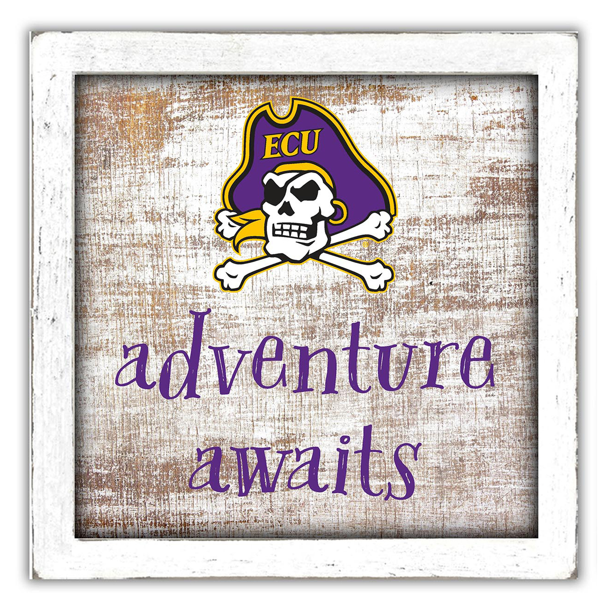 ECU Pirates 14'' x 13'' Adventure Awaits Money Box