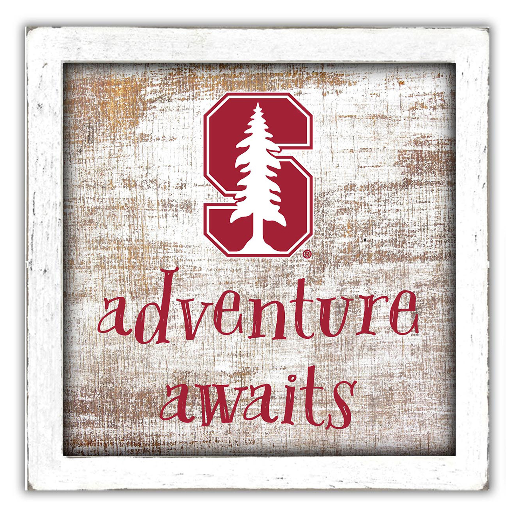 Stanford Cardinal 14'' x 13'' Adventure Awaits Money Box