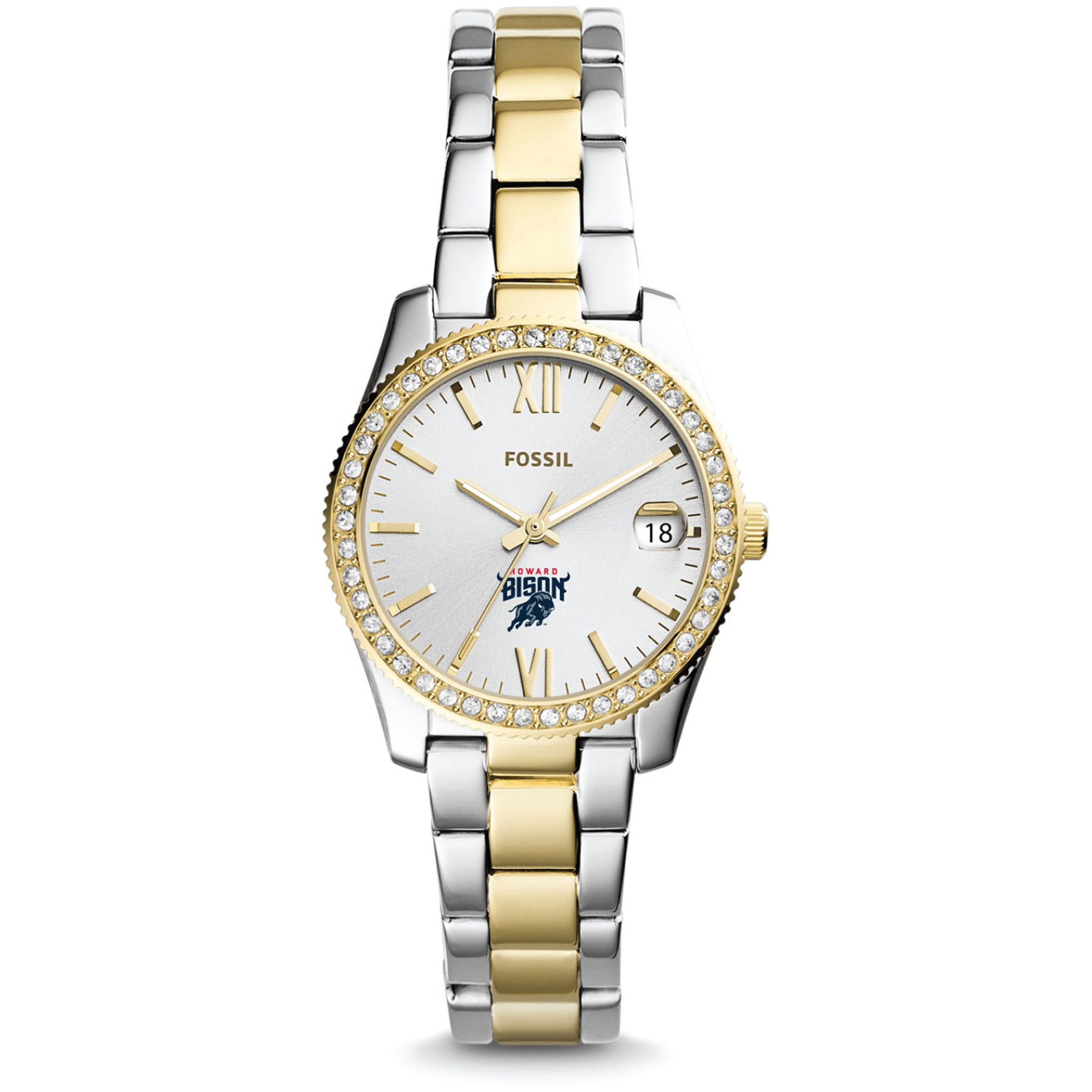 Women's Fossil Howard Bison Scarlette Mini Two Tone Stainless Steel Watch