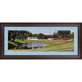PGA TOUR Framed 10" x 20" Valspar Championship Panoramic Photograph
