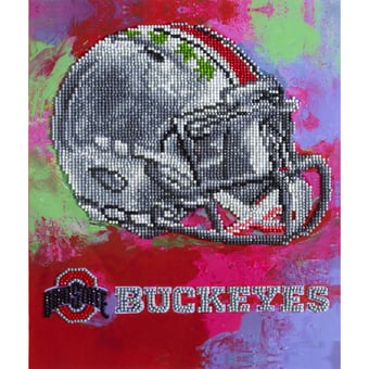 Ohio State Buckeyes Diamond Art Craft Kit