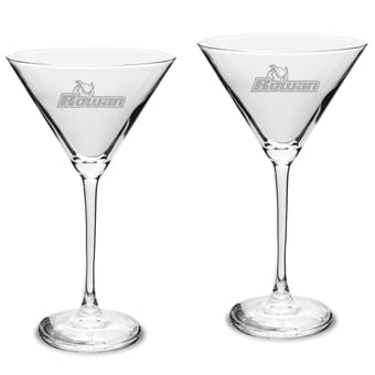 Rowan Profs Two-Piece Traditional 10oz. Martini Glass Set