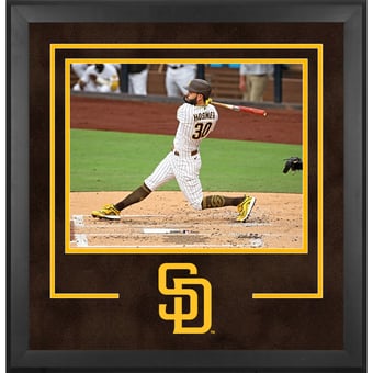 San Diego Padres Deluxe Framed 16" x 20" 2020 Logo Horizontal Photograph Frame