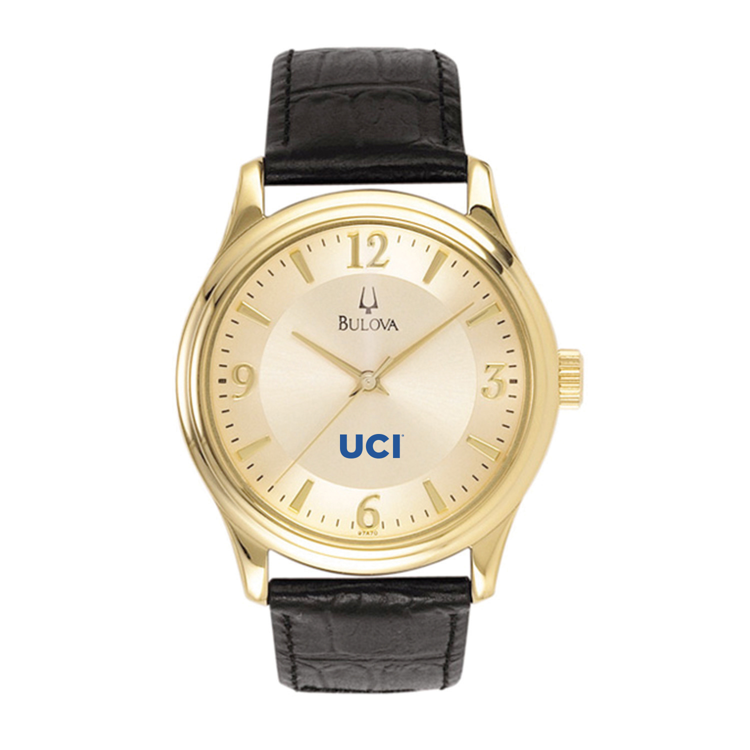 Men's Gold UC Irvine Anteaters Stainless Steel Watch with Leather Band