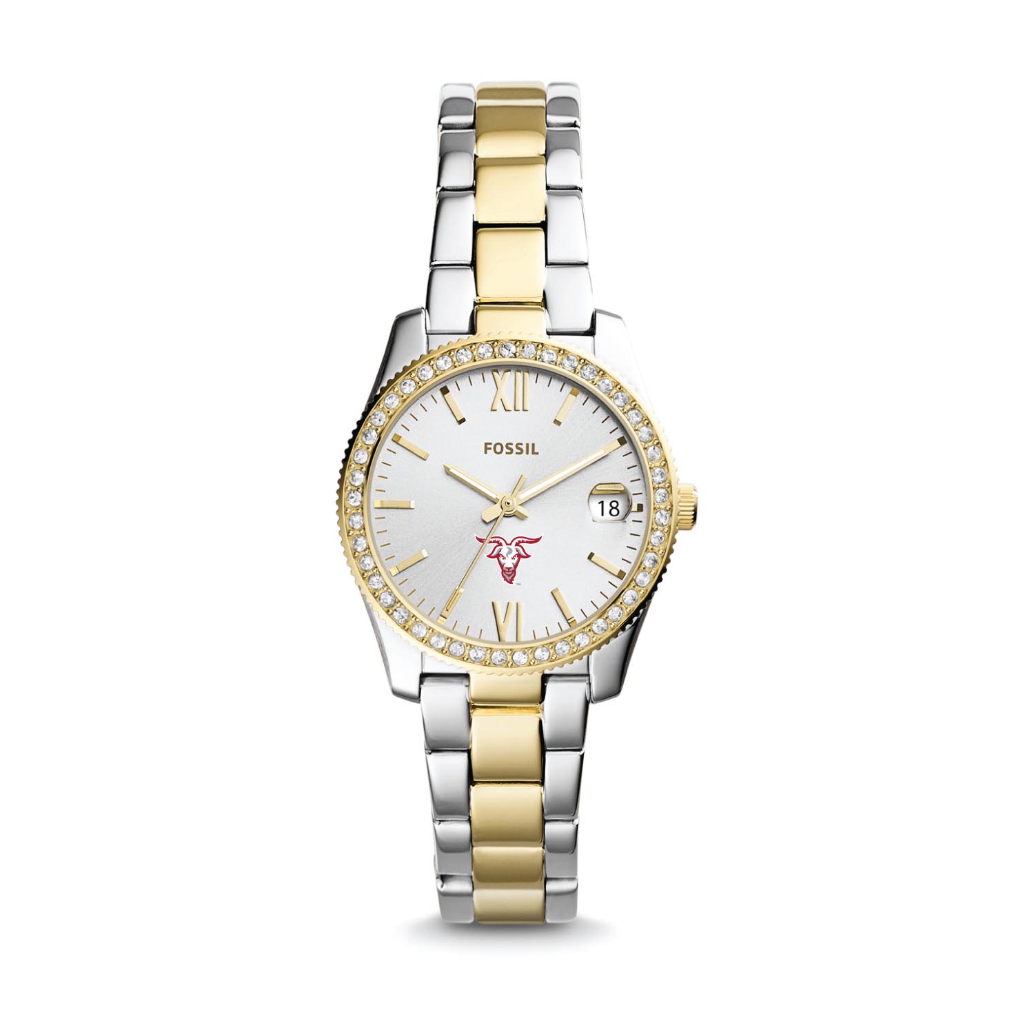 Women's Fossil Worcester Polytechnic Institute Engineers Scarlette Mini Two-Tone Stainless Steel Watch