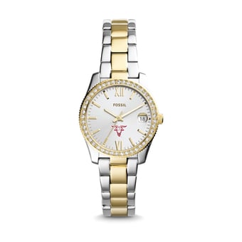 Women's Fossil Worcester Polytechnic Institute Engineers Scarlette Mini Two-Tone Stainless Steel Watch