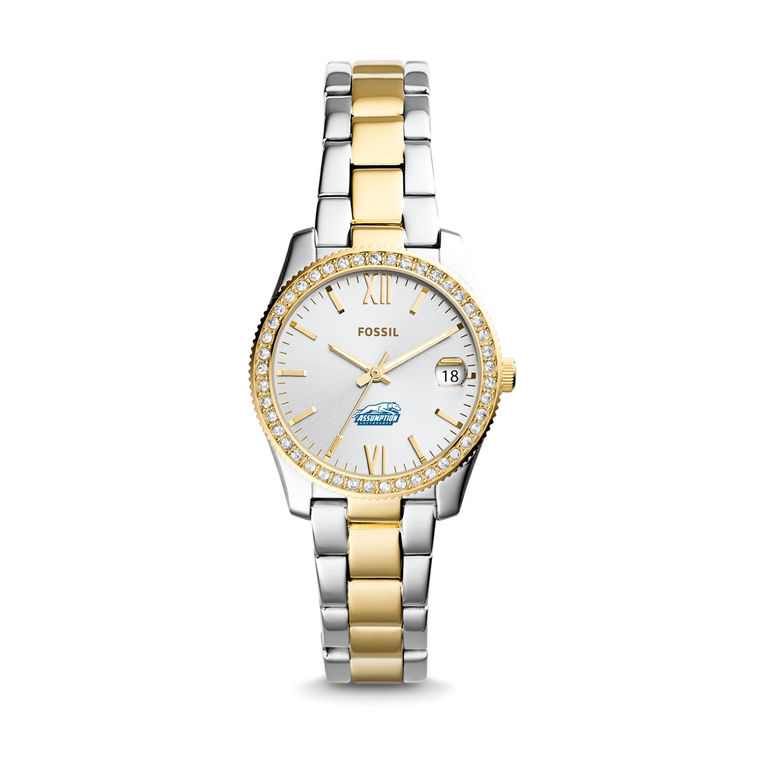Women's Fossil Assumption Greyhounds Scarlette Mini Two-Tone Stainless Steel Watch