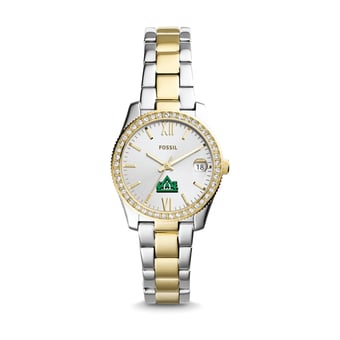 Women's Fossil Delta State Statesmen Scarlette Mini Two-Tone Stainless Steel Watch