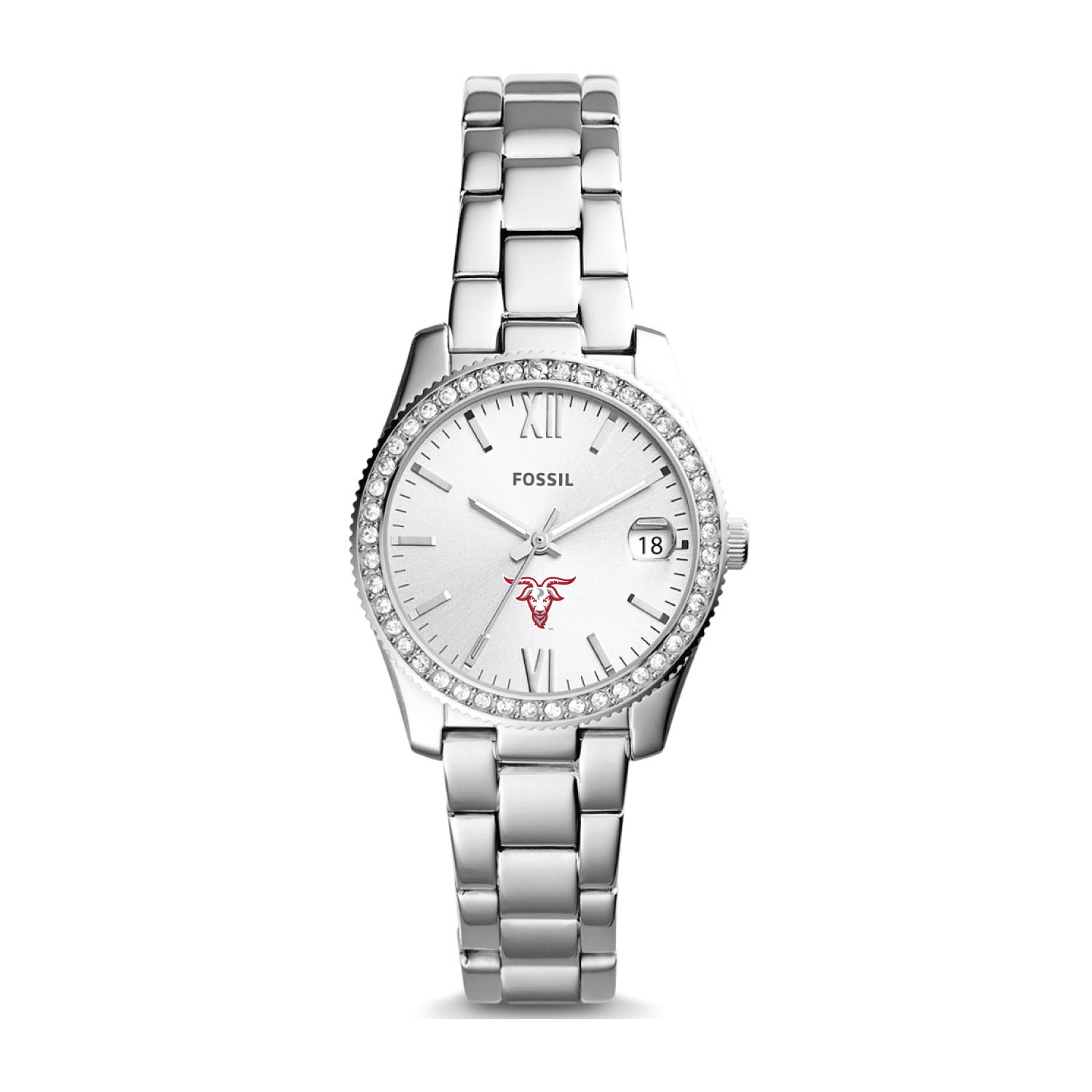 Fossil Worcester Polytechnic Institute Engineers Scarlette Mini Three-Hand Date Watch