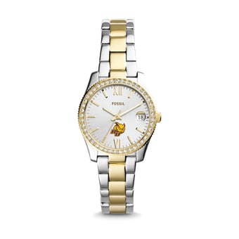 Women's Fossil Silver Rowan Profs Scarlette Mini Two-Tone Stainless Steel Watch