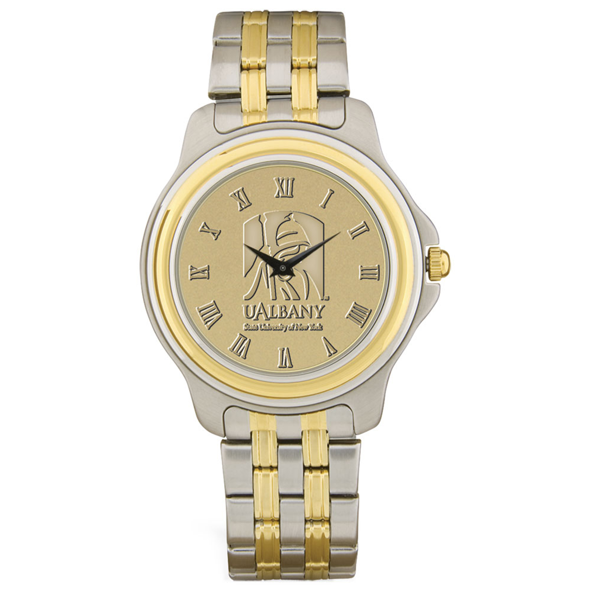 Gold/Silver Albany Great Danes Team Two-Tone Medallion Wristwatch