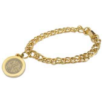 Gold Ohio Northern Polar Bears Charm Bracelet
