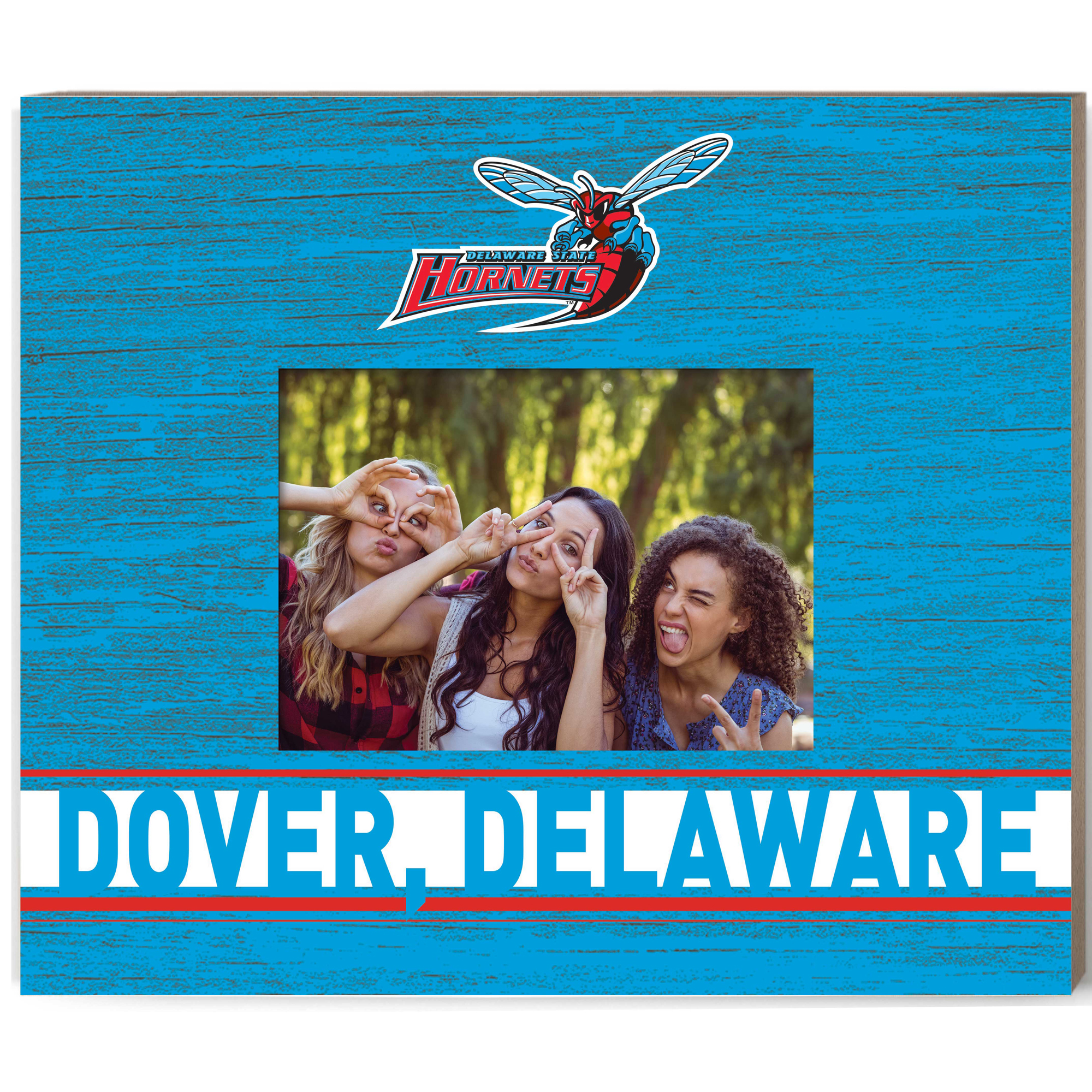 Delaware State Hornets 11'' x 13'' Team Spirit Picture Frame