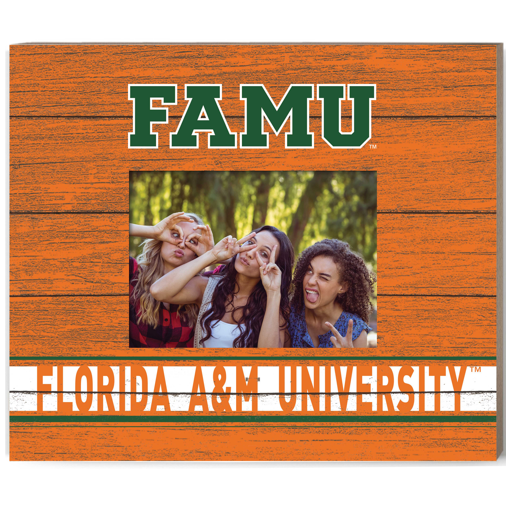 Florida A&M Rattlers 11'' x 13'' Team Spirit Picture Frame