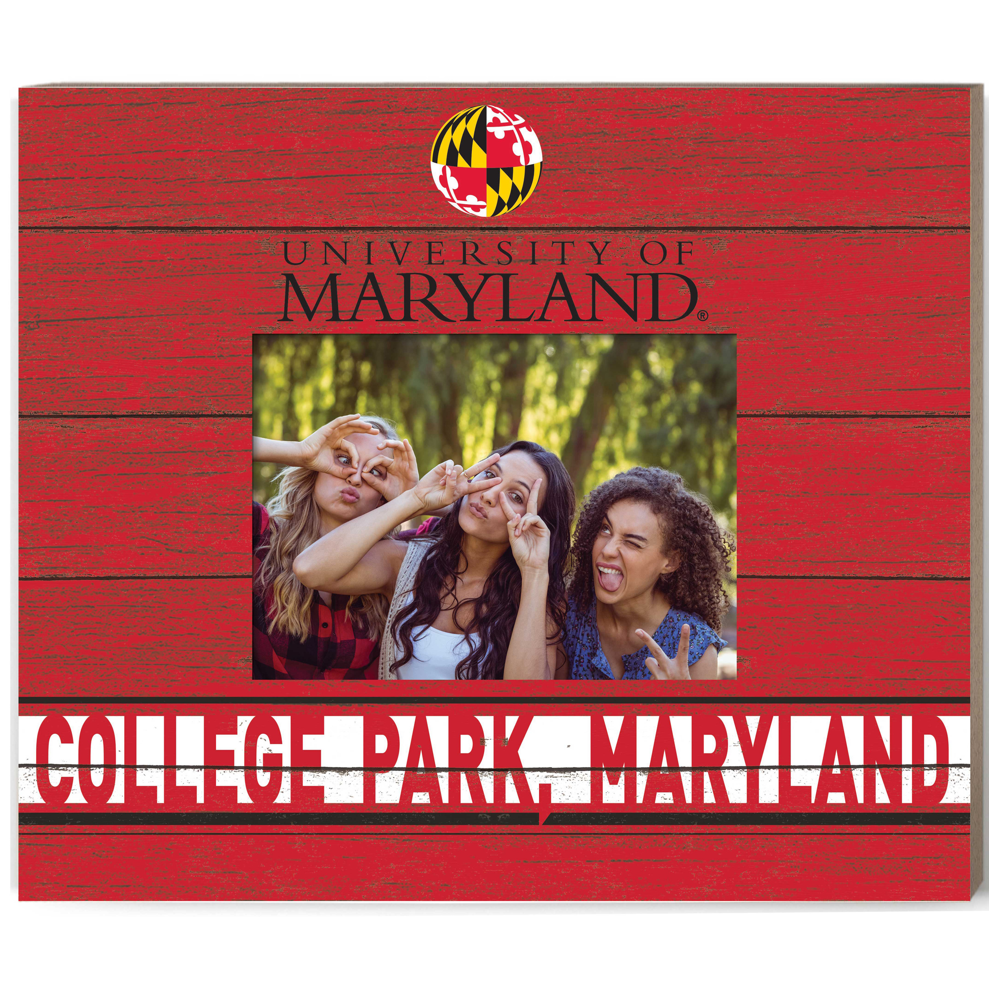 Maryland Terrapins 11'' x 13'' Team Spirit Picture Frame