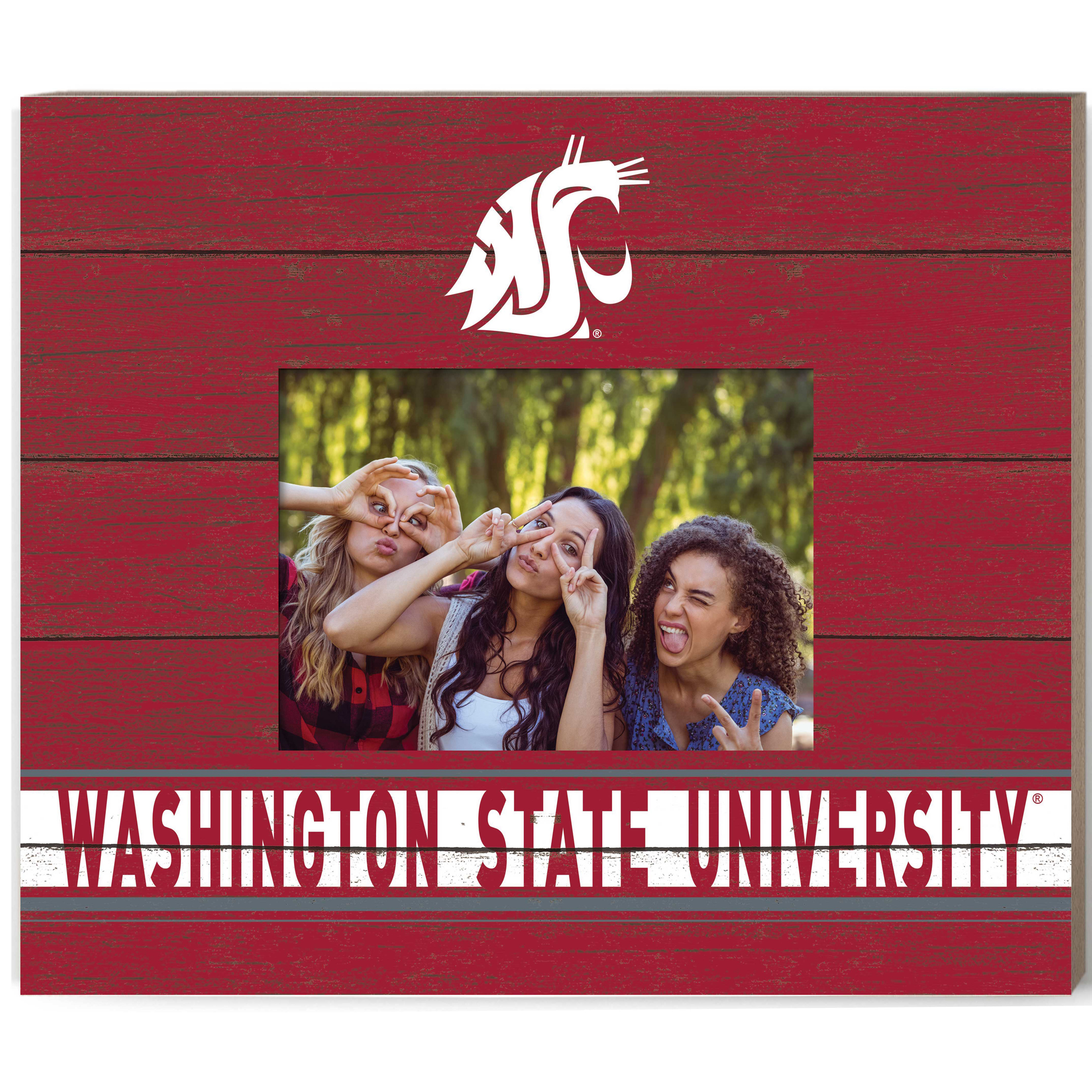 Washington State Cougars 11'' x 13'' Team Spirit Picture Frame