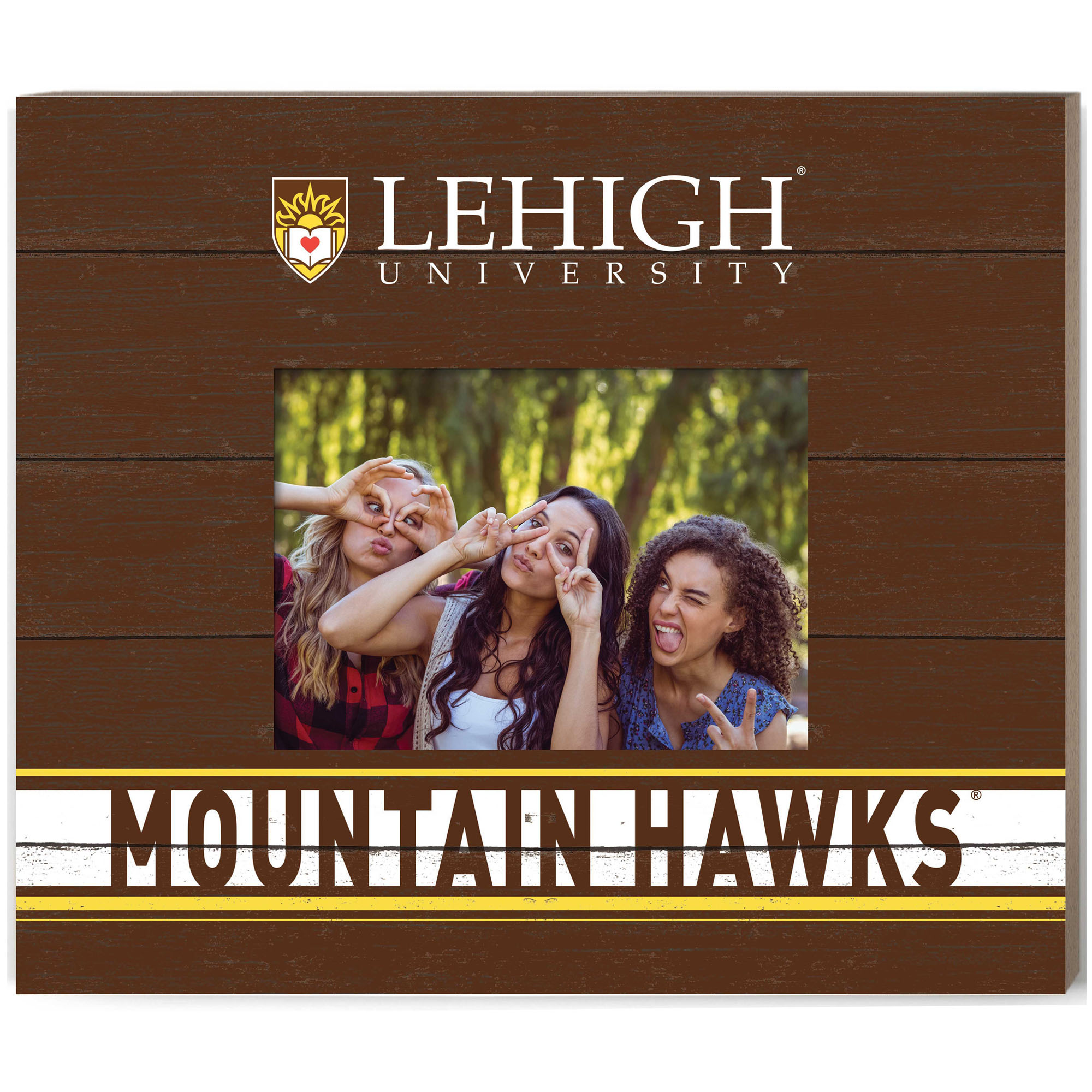 Brown Lehigh Mountain Hawks 11'' x 13'' Team Spirit Scholastic Picture Frame